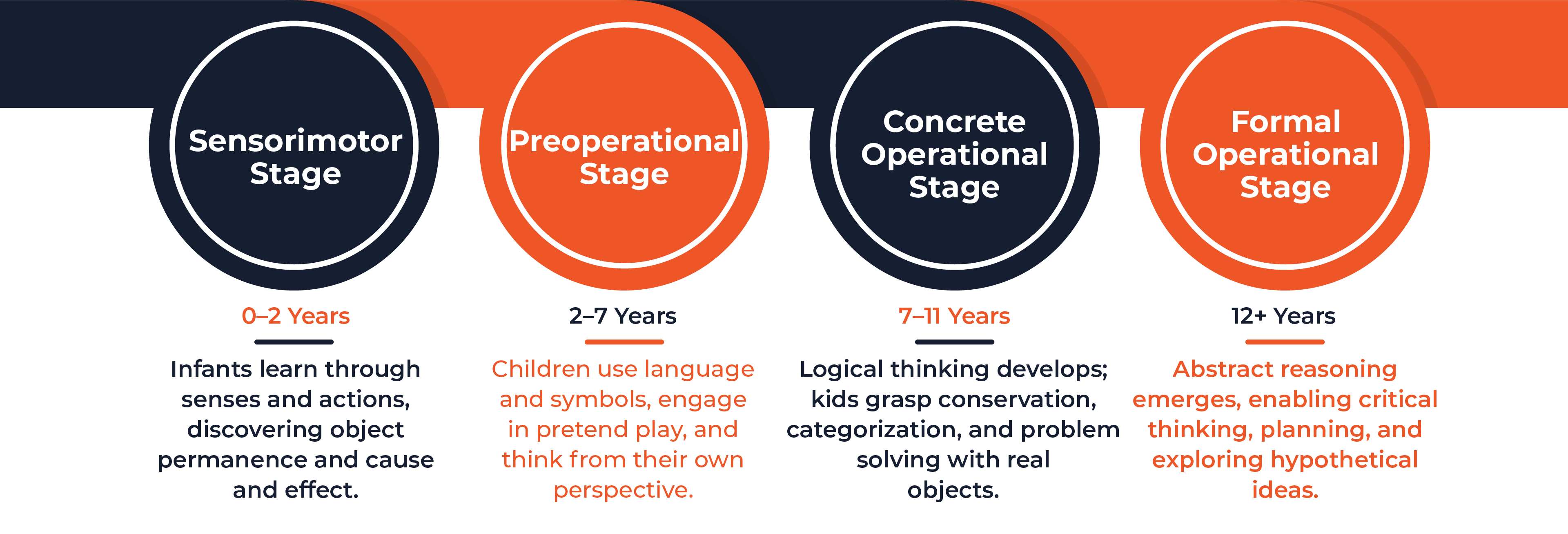 The Main Stages of Jean Piaget's Cognitive Development in Early Childhood